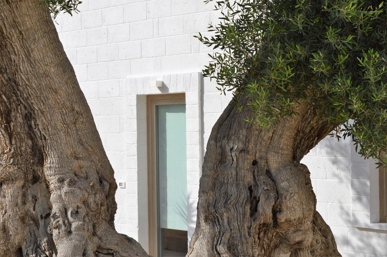 Hotel Masseria Torrepietra 4*